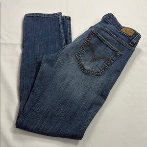 Levi's Blue Skinny Jeans Classic Style